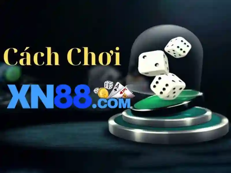 Đánh giá từ người dùng