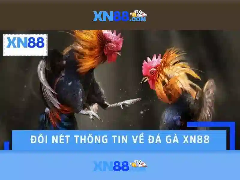 Hướng dẫn tham gia và sử dụng