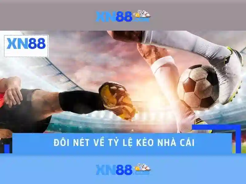 Giới thiệu về xn88