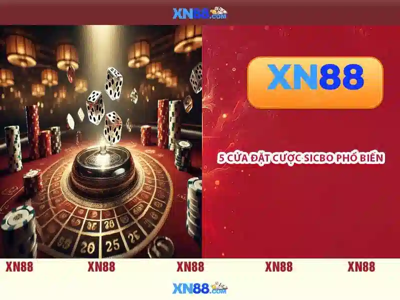 Lịch sử và giấy phép