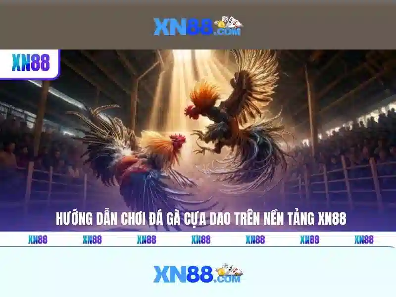 Các tính năng nổi bật