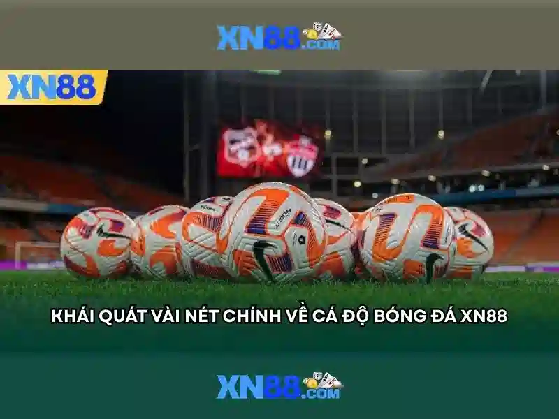 Chính sách chăm sóc khách hàng và liên hệ