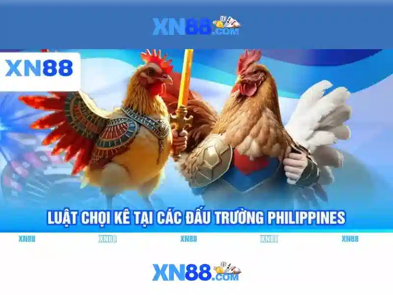 Trải nghiệm người dùng