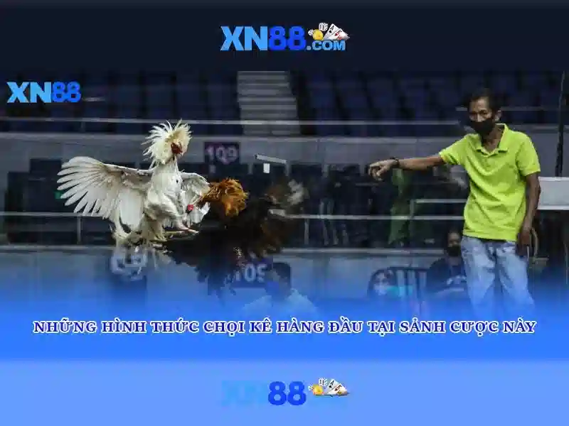 Việt Vị Trong Bóng Đá