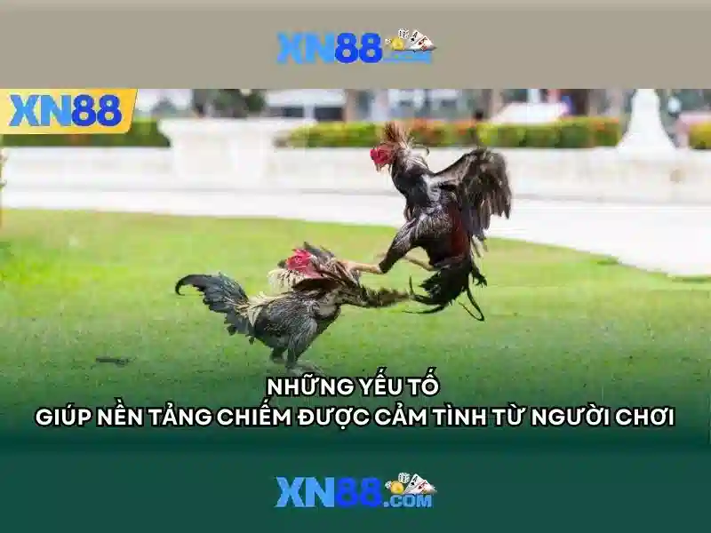 Nền tảng và công nghệ