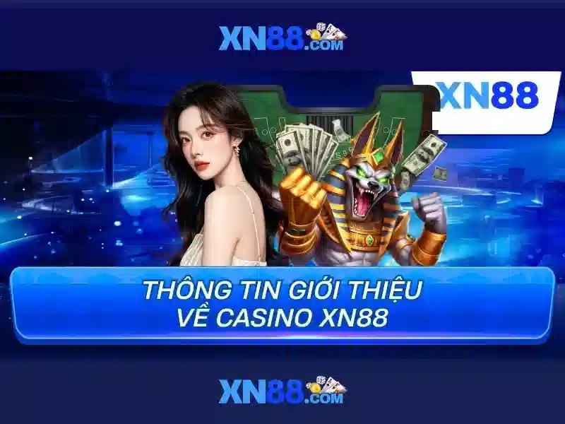 Lý do người chơi chọn XN88