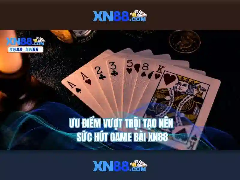 Lĩnh vực hoạt động của xn88