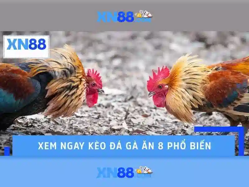 Việt Vị Trong Bóng Đá
