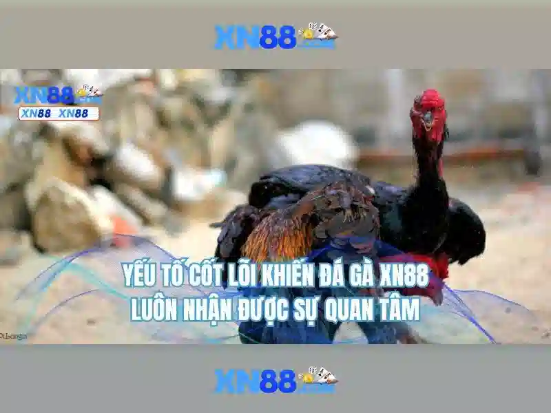 Việt Vị Trong Bóng Đá