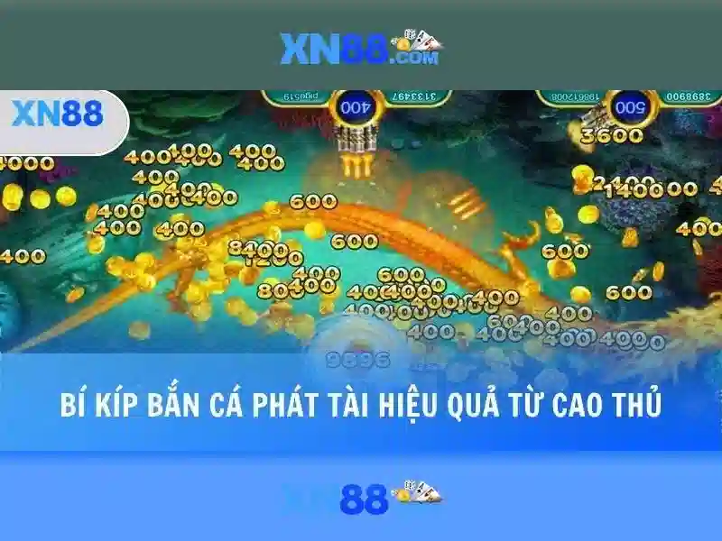 Các sản phẩm và dịch vụ
