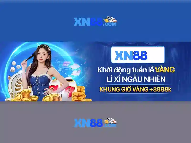 Lịch sử và tầm nhìn