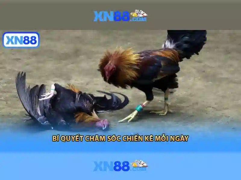 Việt Vị Trong Bóng Đá