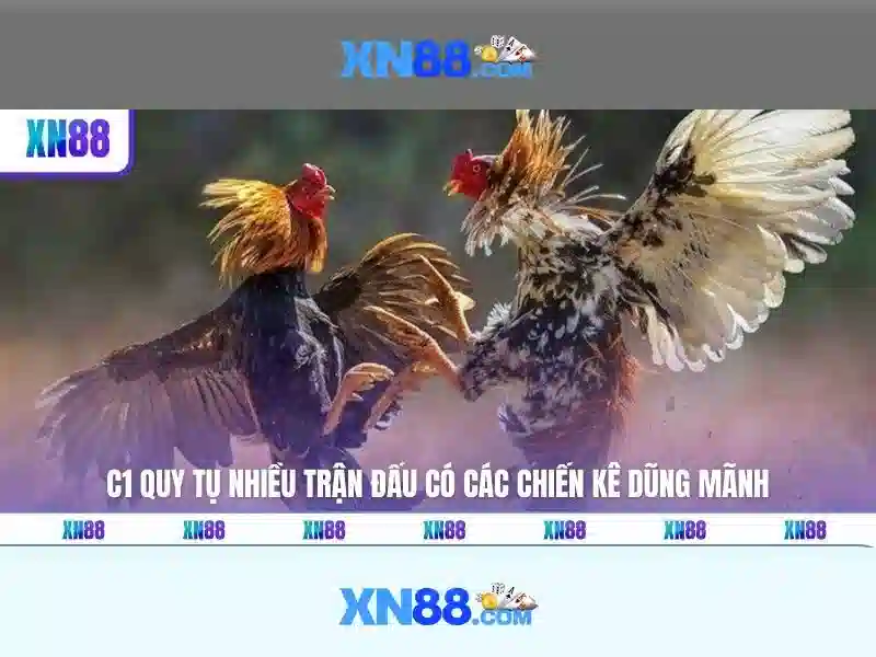 Giao diện người dùng và an toàn