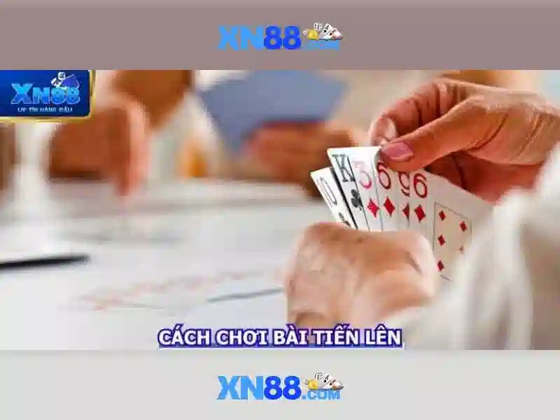 Trải nghiệm người dùng và hỗ trợ