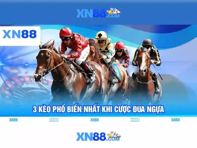 Giới thiệu về xn88