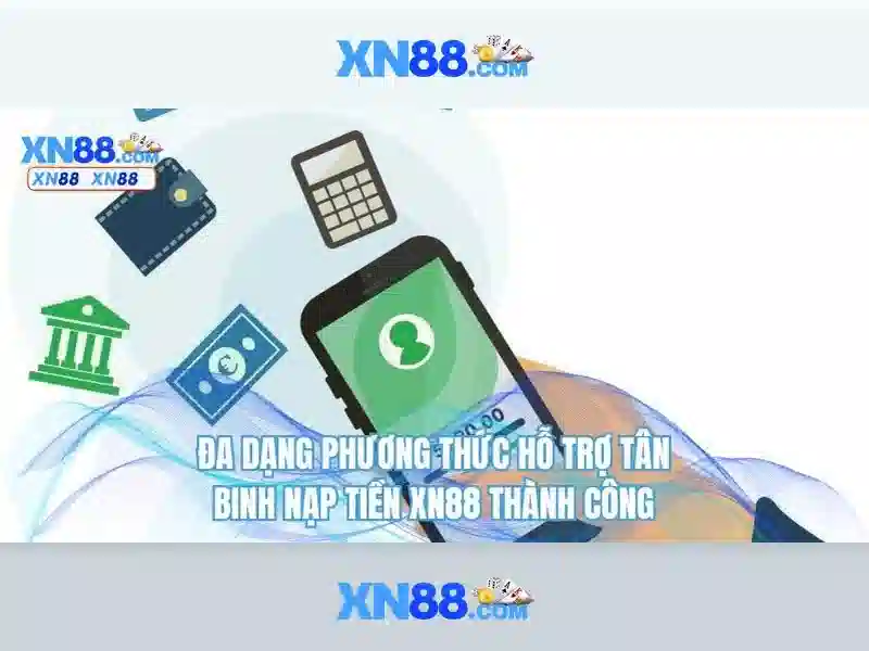 Lĩnh vực hoạt động