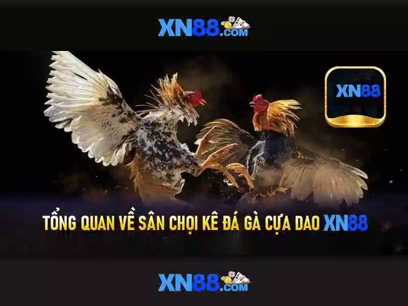 Việt Vị Trong Bóng Đá