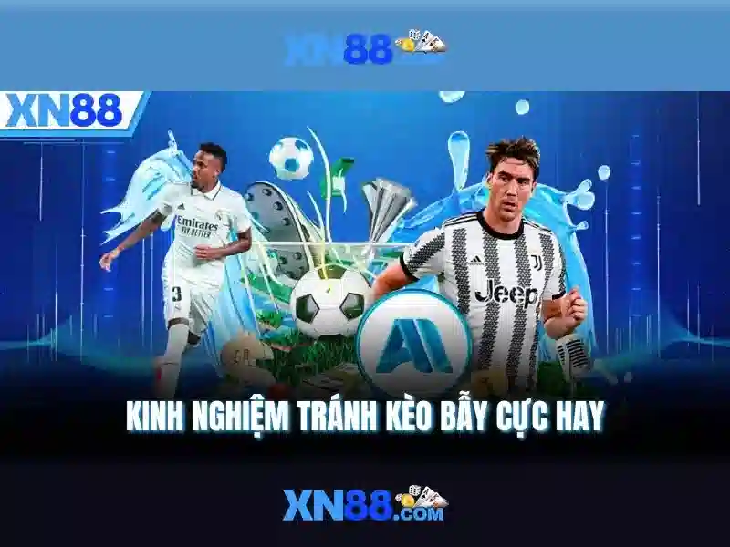 xn88-balance-check