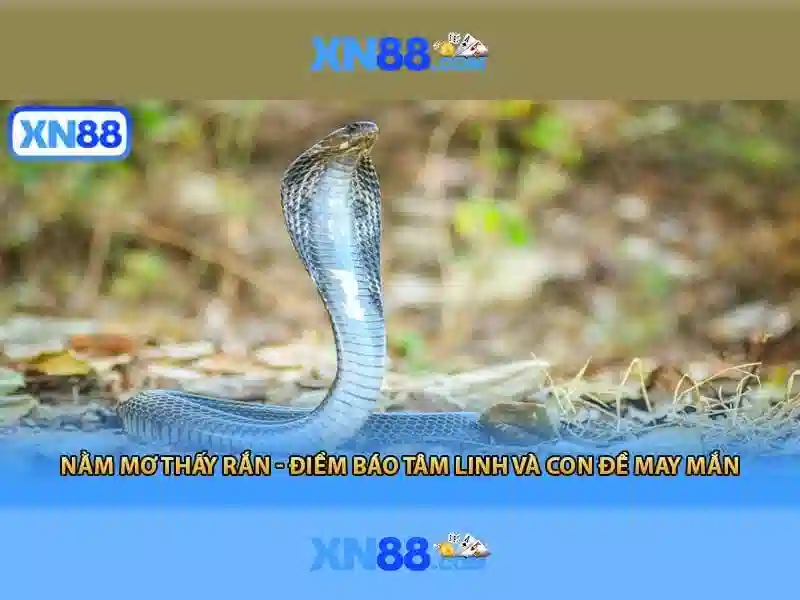 Kết luận và triển vọng tương lai
