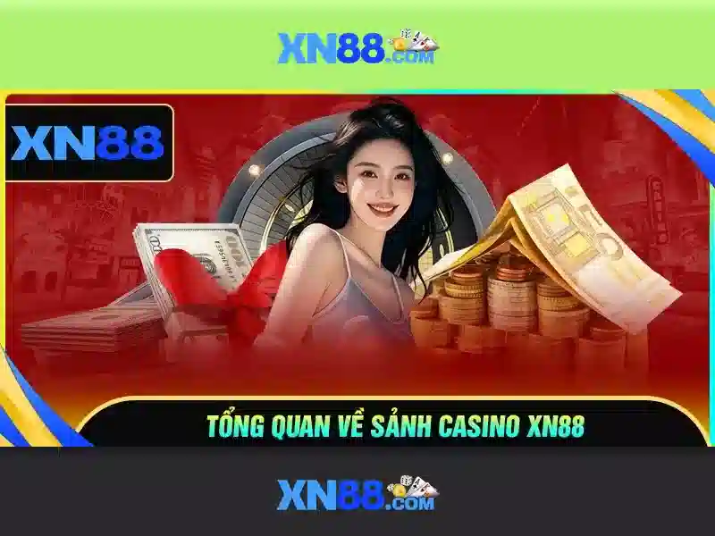 Lịch sử và sự phát triển