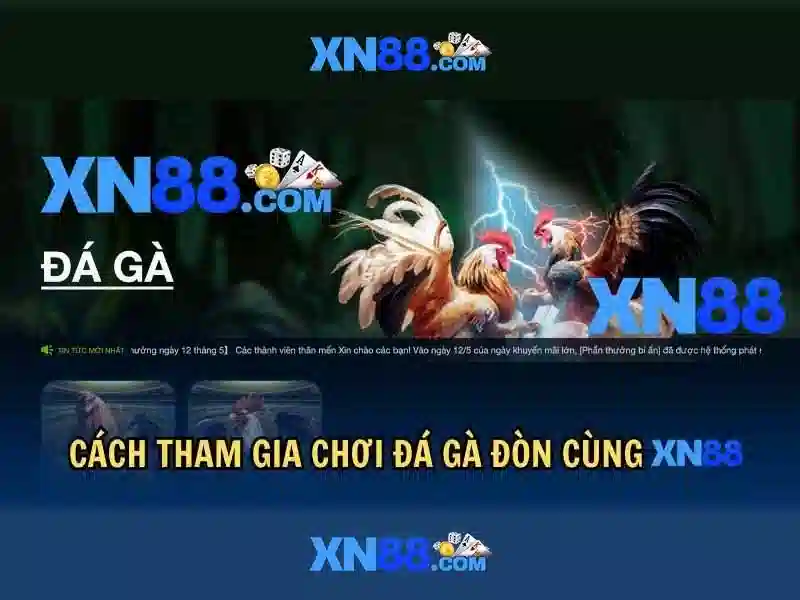 xn88-intro-2