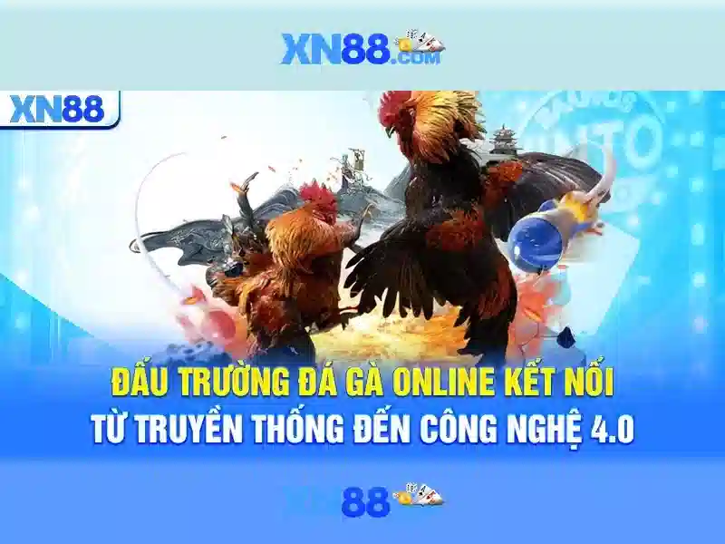 Giới thiệu về xn88