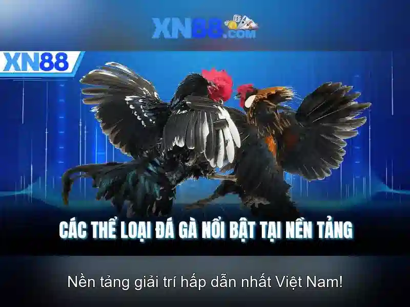 Việt Vị Trong Bóng Đá