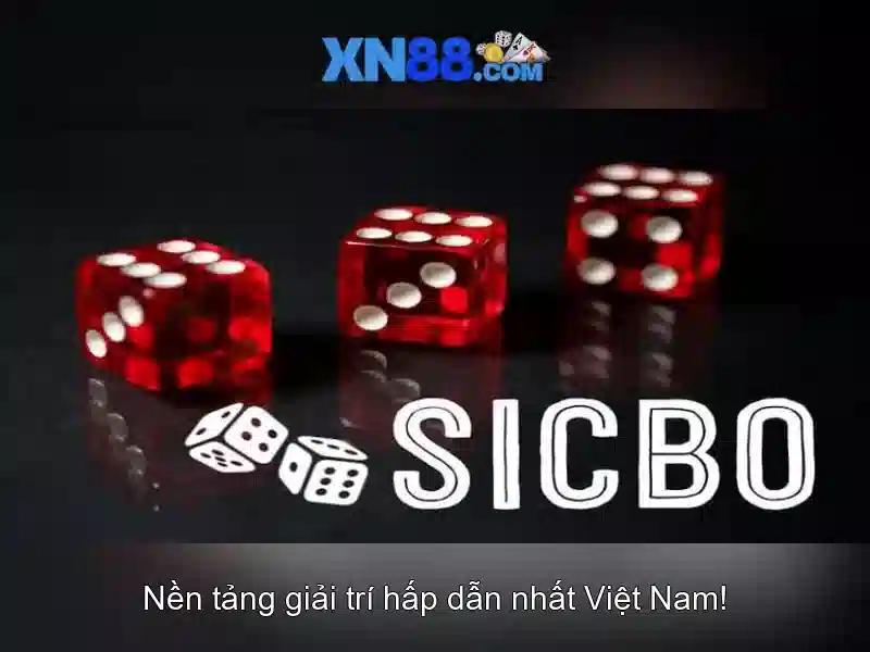 Đánh giá tổng quan về giao diện và hỗ trợ khách hàng