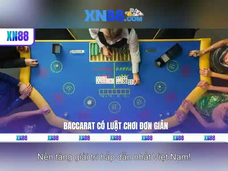 Giới thiệu về xn88