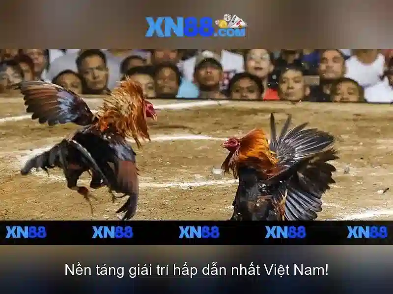 An toàn và thanh toán
