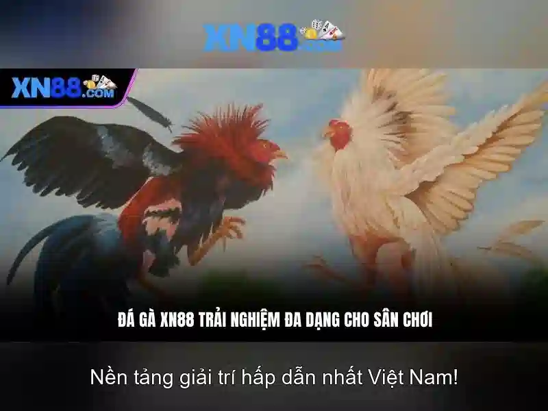 Các trò chơi và trải nghiệm
