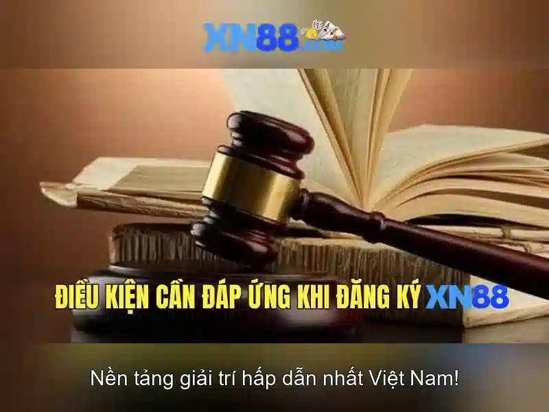 Tổng quan về XN88