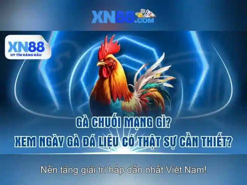 Khuyến mãi và ưu đãi