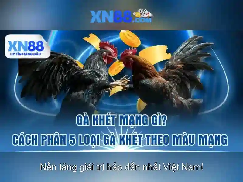 Các tính năng nổi bật