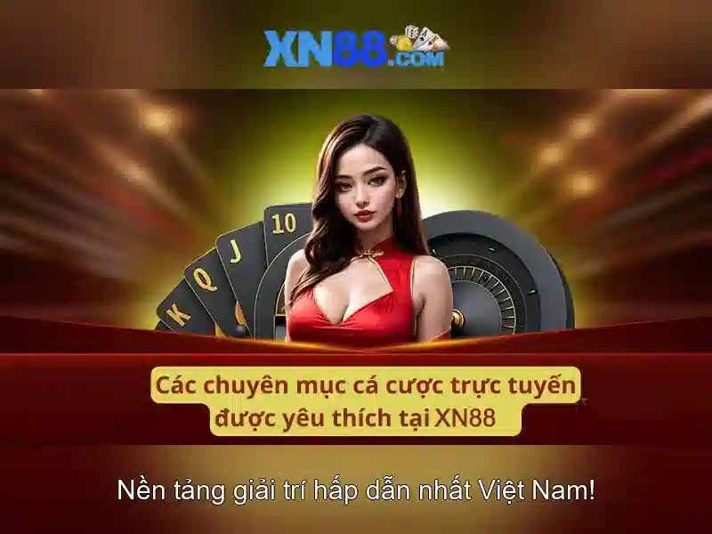 Quy mô và phạm vi hoạt động