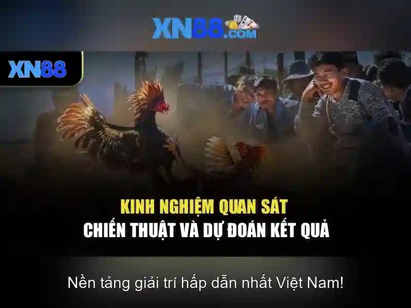 Giới thiệu về xn88