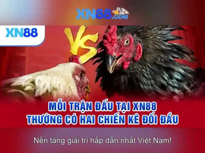Trải nghiệm người dùng và tương tác