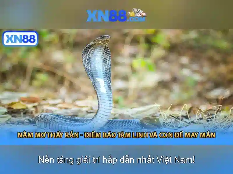 Đánh giá tính năng của XN88