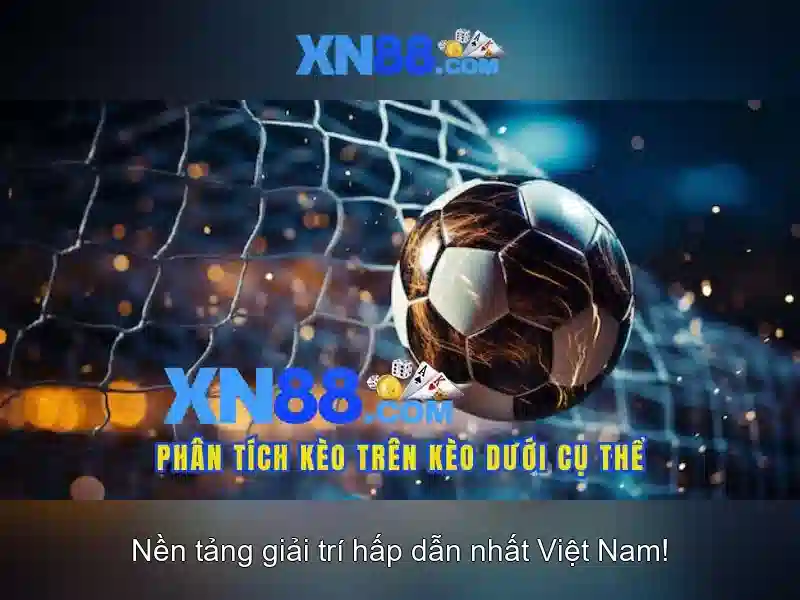 xn88-intro