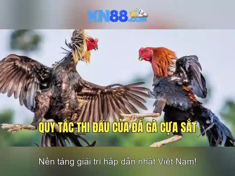 Công cụ và trò chơi phổ biến