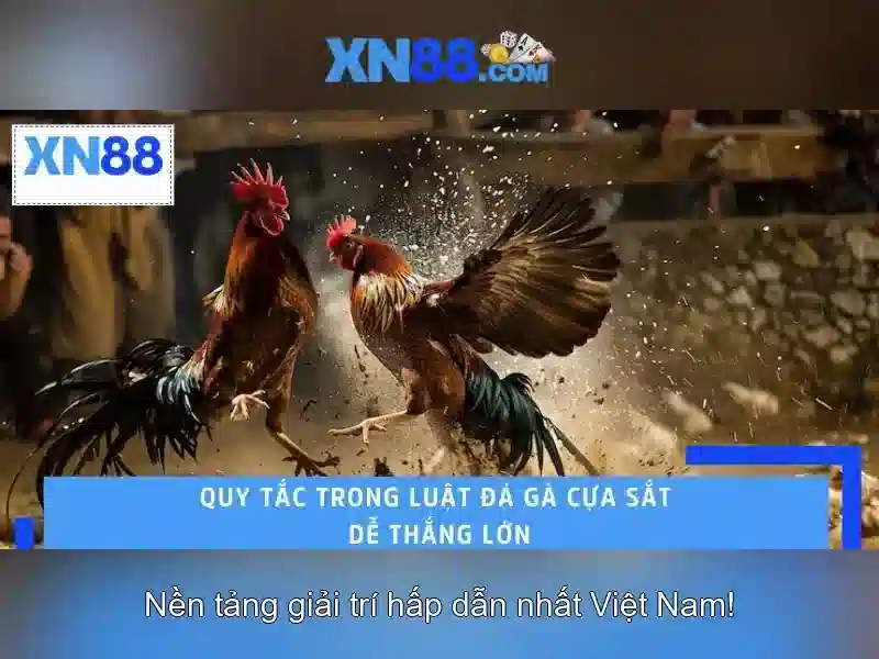 Việt Vị Trong Bóng Đá