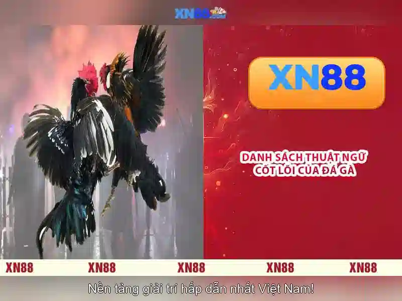 Nền tảng và dịch vụ