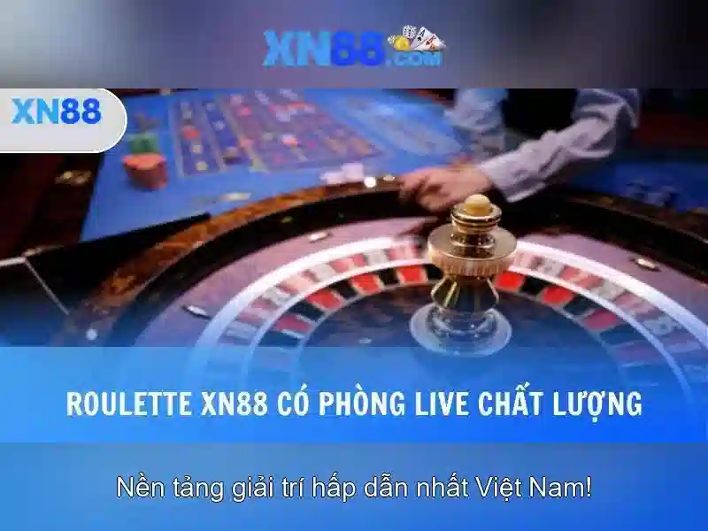 Kết luận và tương lai của xn88