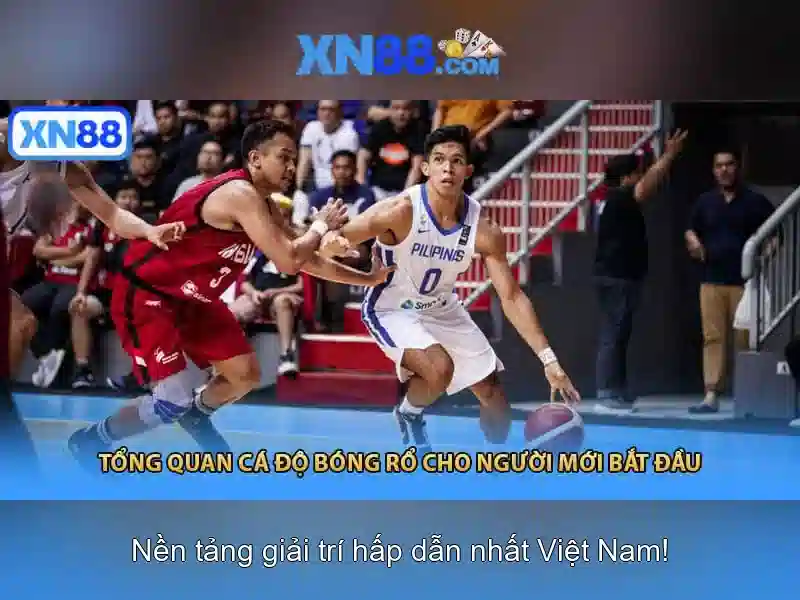 Hỗ trợ người dùng