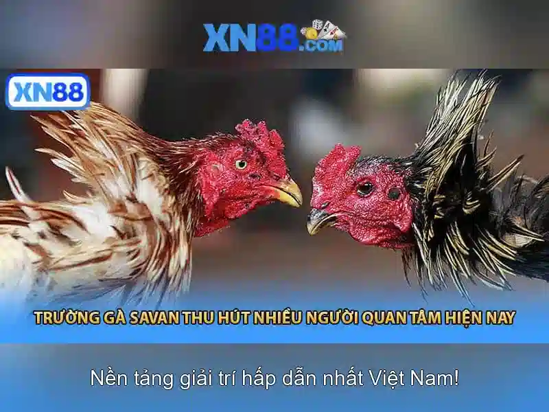 Việt Vị Trong Bóng Đá