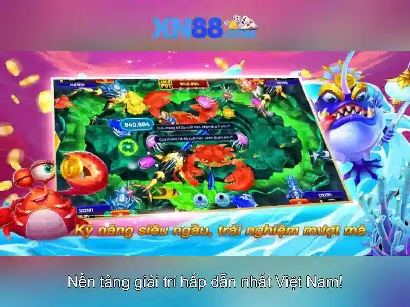 Lịch sử và phát triển