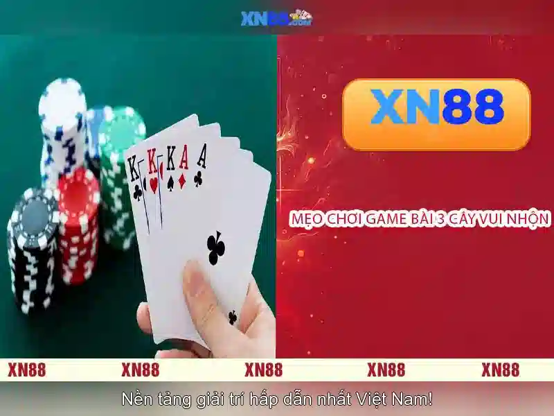Nền tảng và tính năng