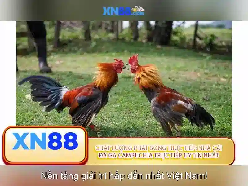 respon