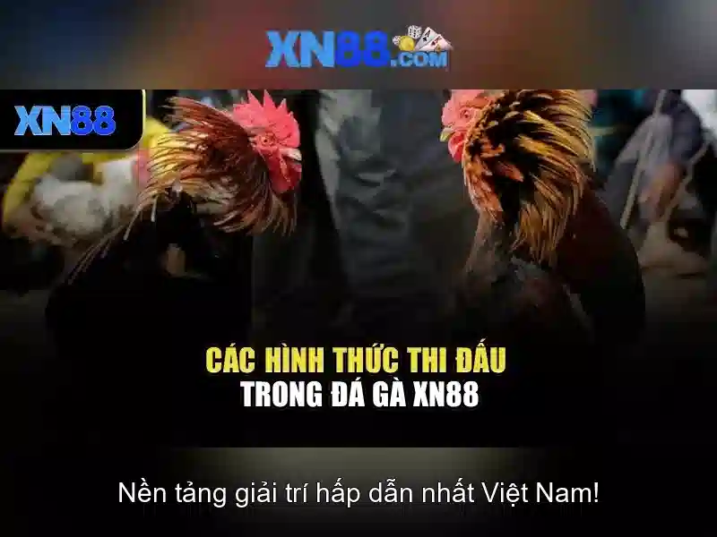Việt Vị Trong Bóng Đá